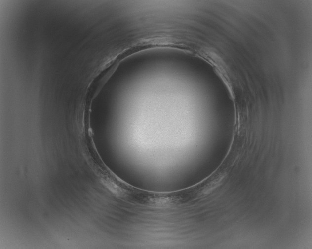 X0000072970301200607211230