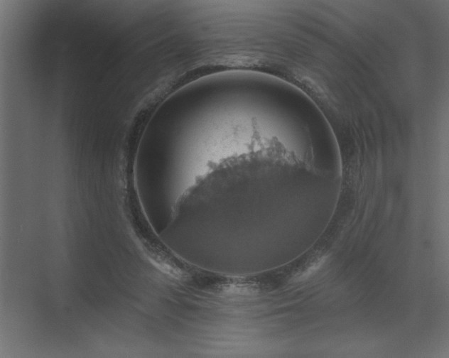 X0000072970303200607211230