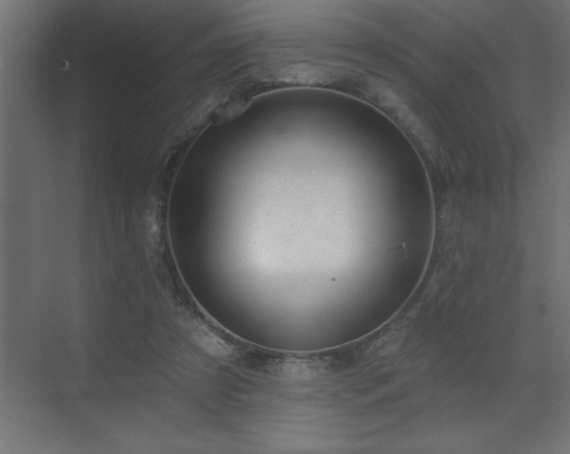 X0000072970305200607211230