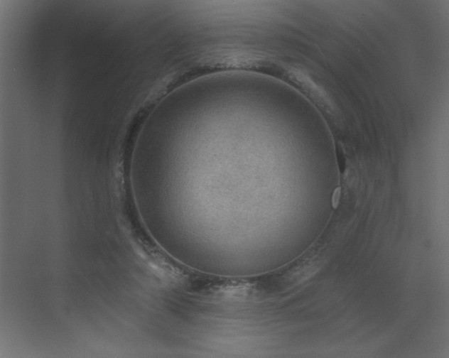 X0000072970306200607211230