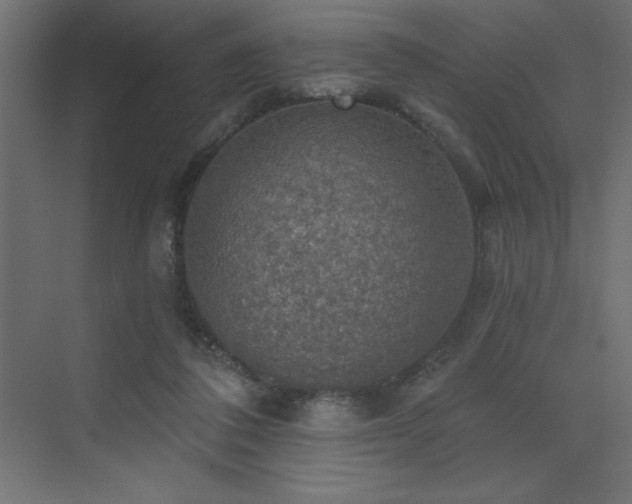 X0000072970308200607211230