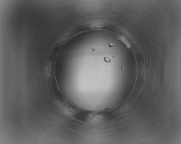 X0000072970311200607211230