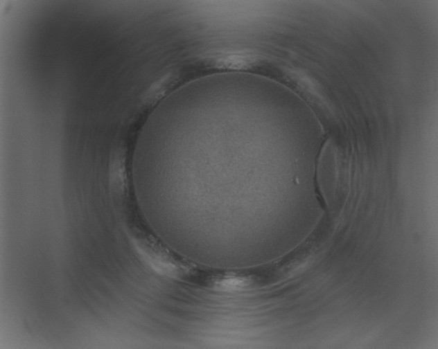 X0000072970312200607211230