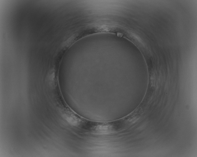 X0000072970314200607211230