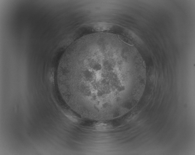 X0000072970315200607211230