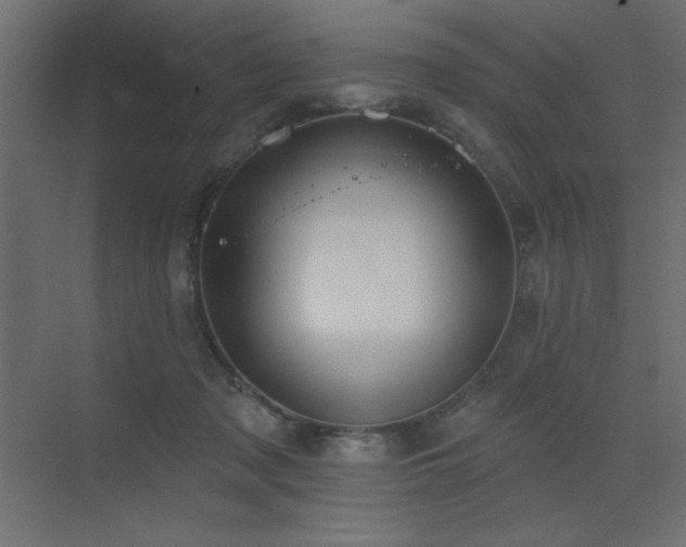 X0000072970317200607211230