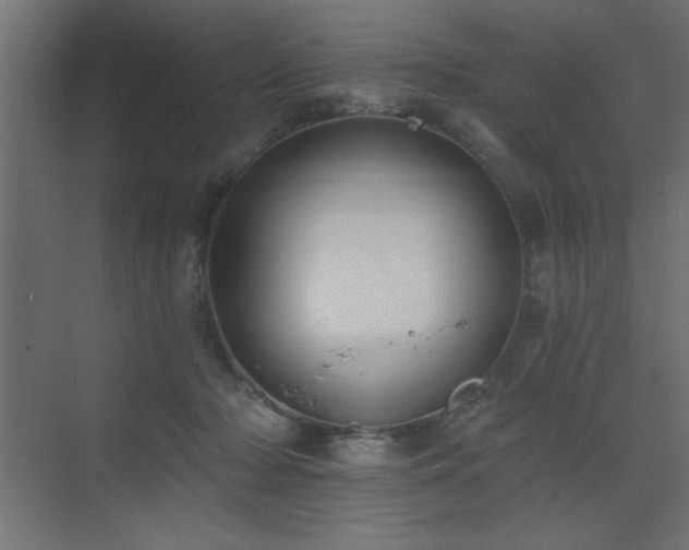 X0000072970318200607211230