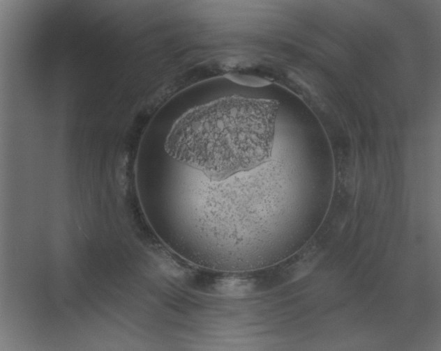 X0000072970319200607211230