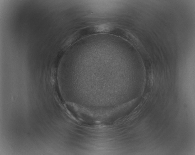 X0000072970325200607211230