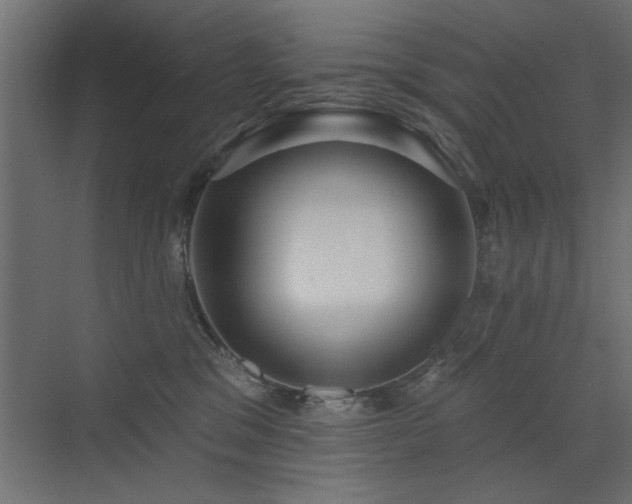 X0000072970329200607211230