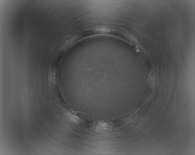 X0000072970330200607211230