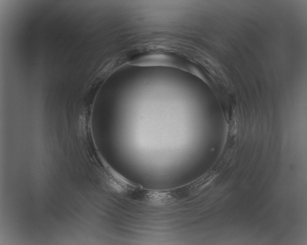 X0000072970333200607211230