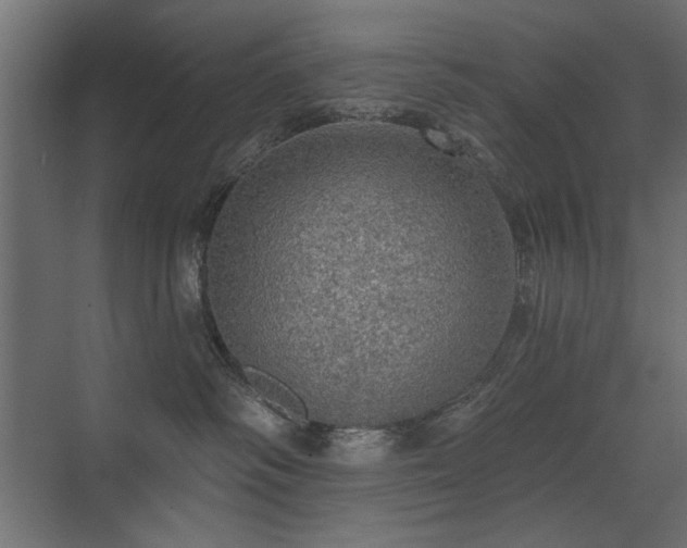 X0000072970334200607211230