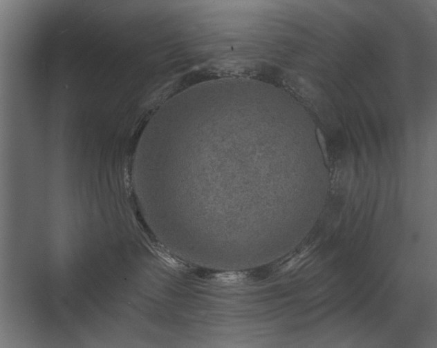 X0000072970335200607211230