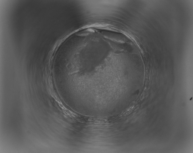 X0000072970337200607211229