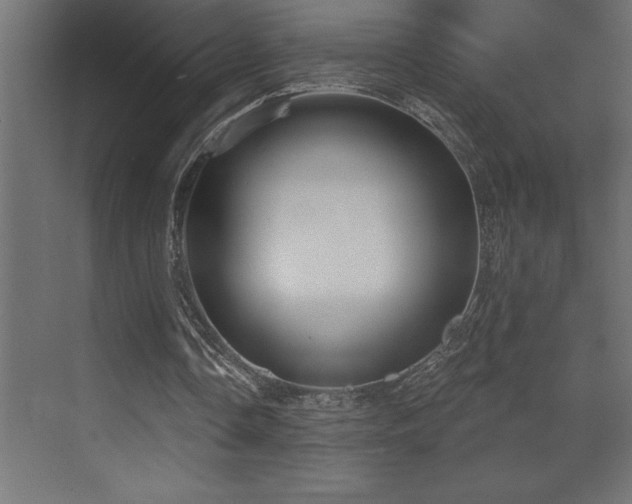 X0000072970338200607211229