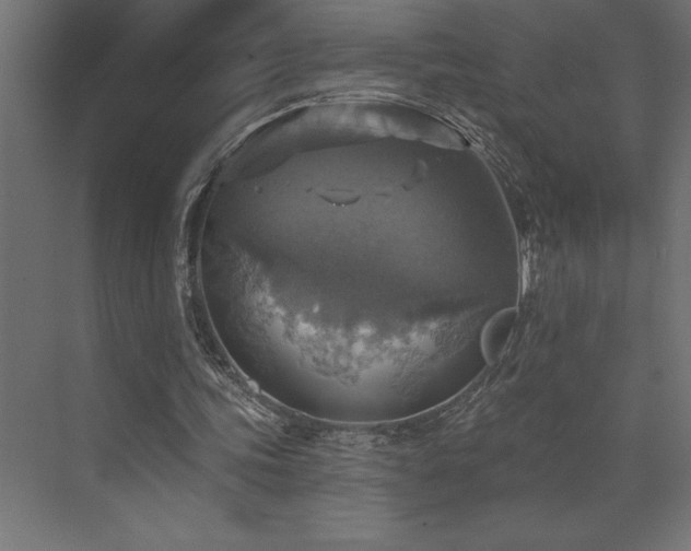 X0000072970339200607211229