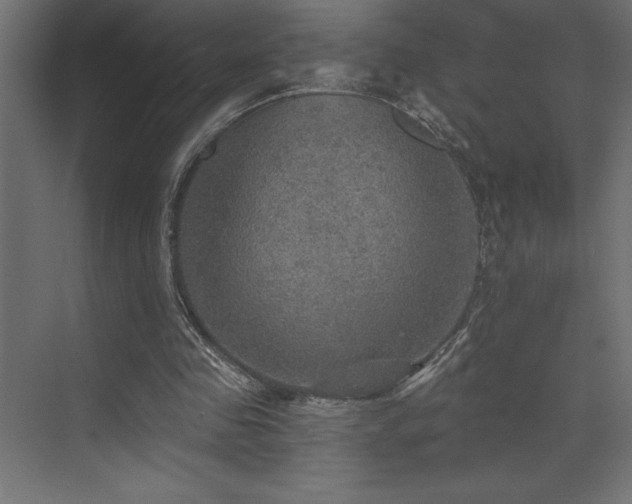 X0000072970341200607211229