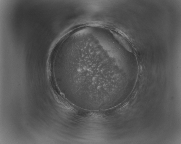 X0000072970343200607211229