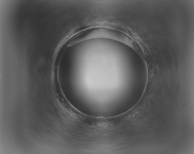 X0000072970344200607211229