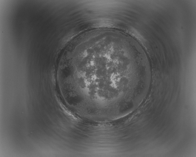 X0000072970345200607211229