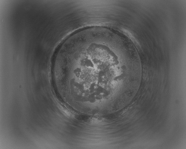 X0000072970346200607211229