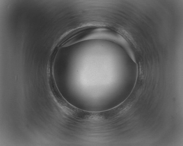 X0000072970348200607211229