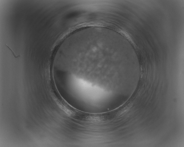 X0000072970349200607211229