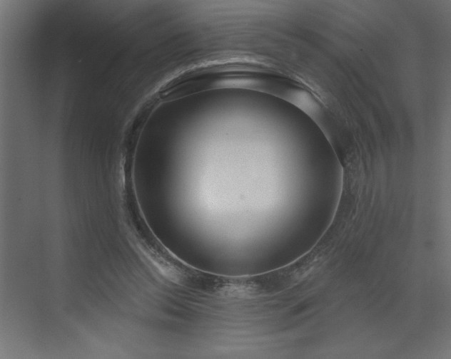 X0000072970350200607211229