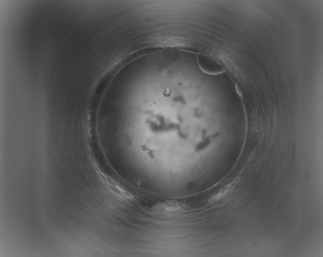 X0000072970351200607211229