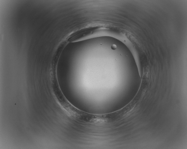 X0000072970352200607211229