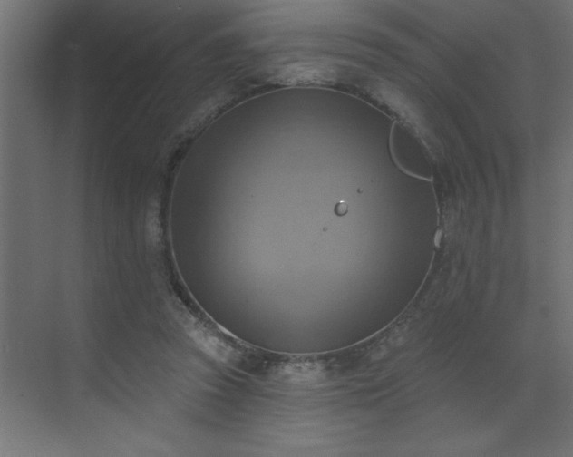 X0000072970353200607211229