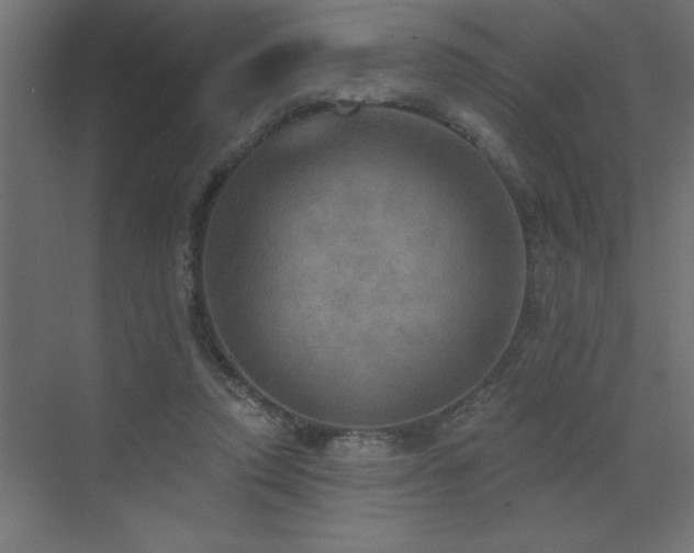 X0000072970354200607211229