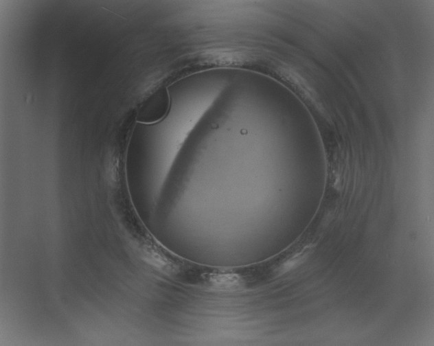 X0000072970355200607211229