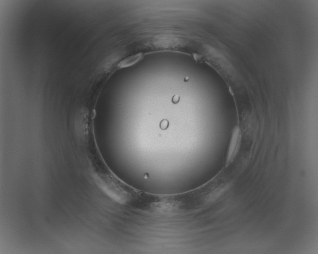 X0000072970356200607211229