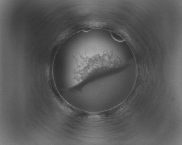 X0000072970357200607211229