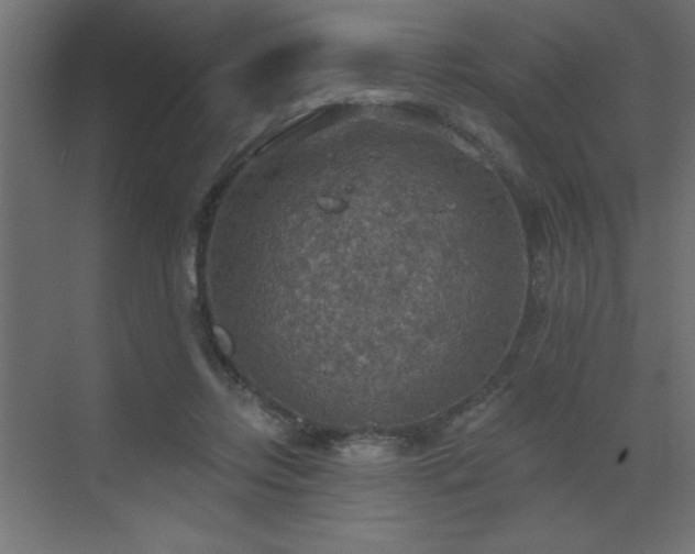 X0000072970358200607211229