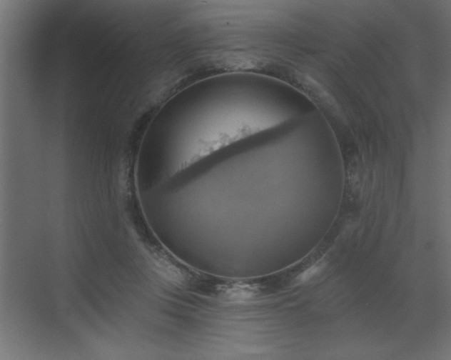 X0000072970359200607211229