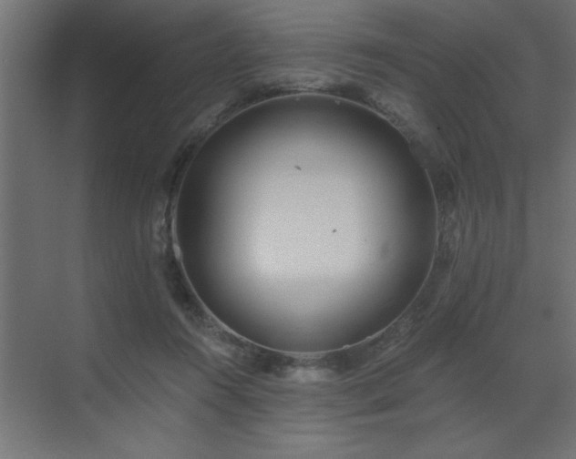 X0000072970360200607211229