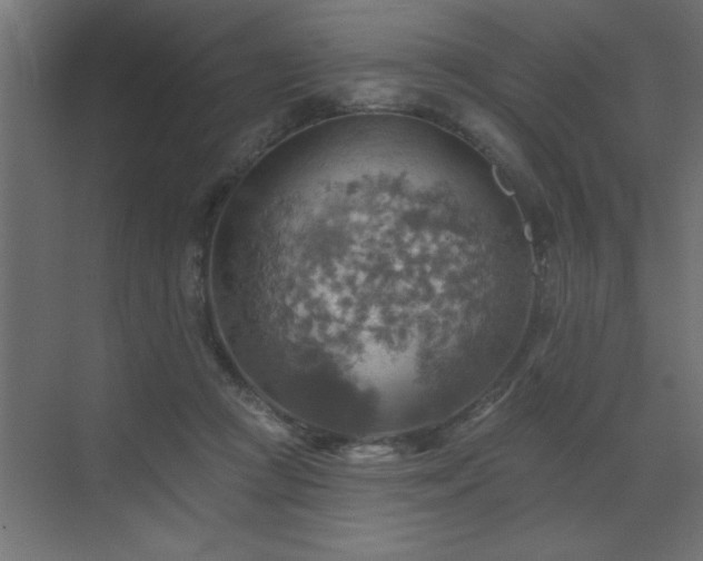 X0000072970361200607211229