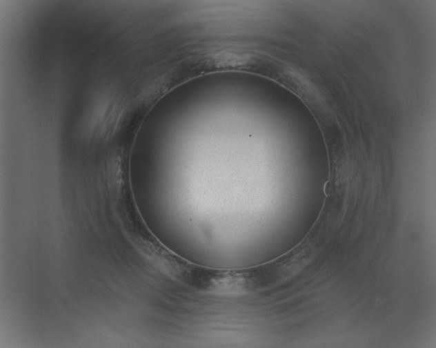 X0000072970362200607211229