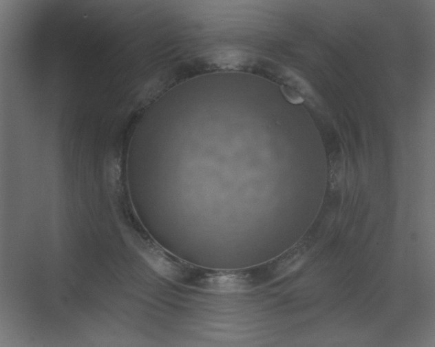 X0000072970365200607211229