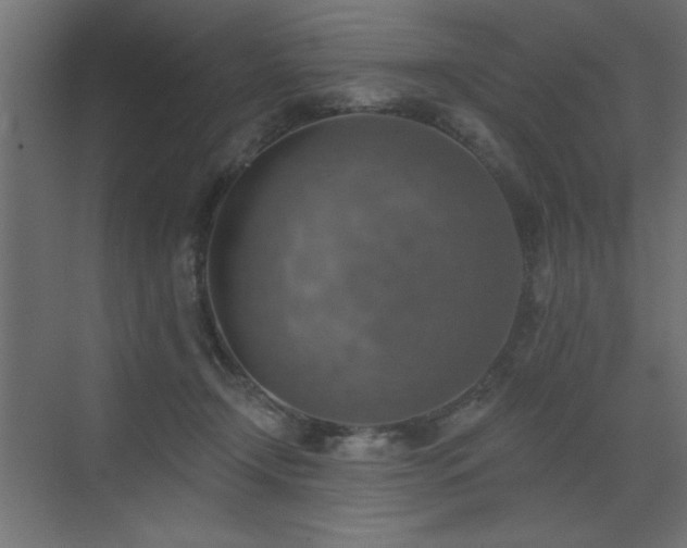 X0000072970366200607211229