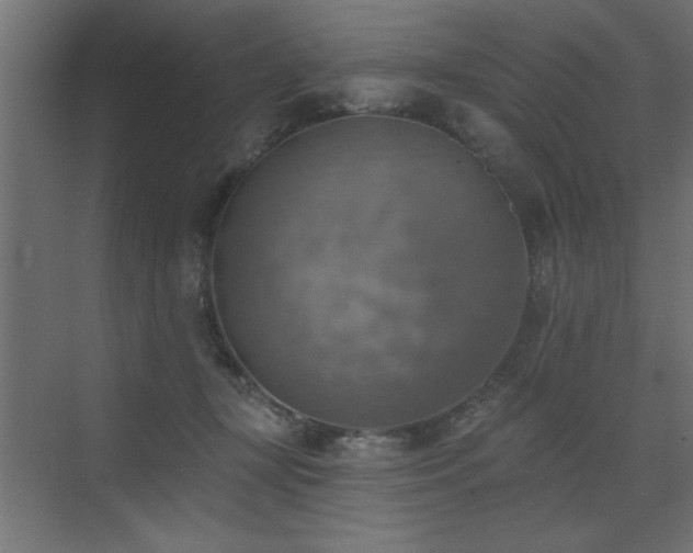 X0000072970367200607211229