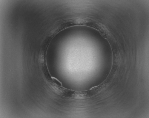 X0000072970368200607211229