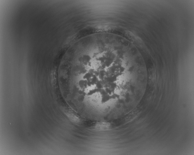 X0000072970369200607211229