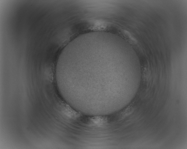 X0000072970370200607211229