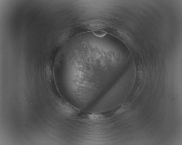 X0000072970371200607211229