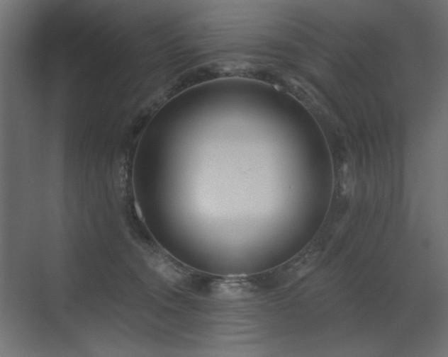 X0000072970372200607211229