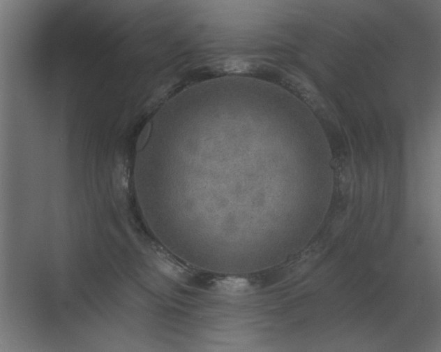 X0000072970374200607211229